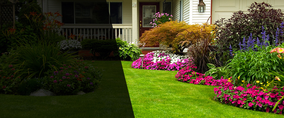 Norwood Landscapers